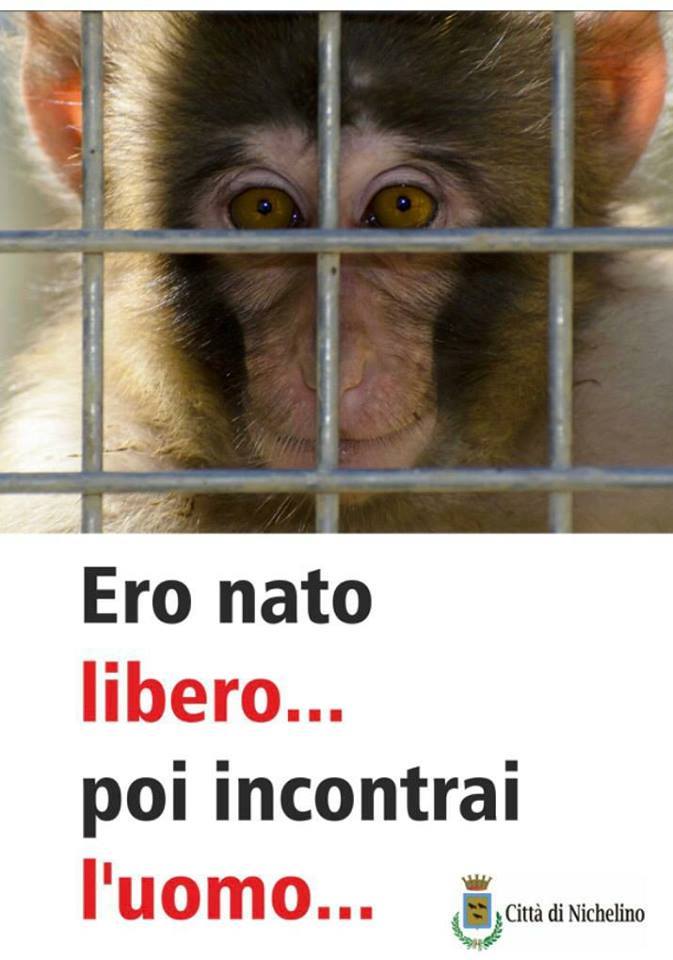 Campagna del Comune di Nichelino contro lo sfruttamento degli animali