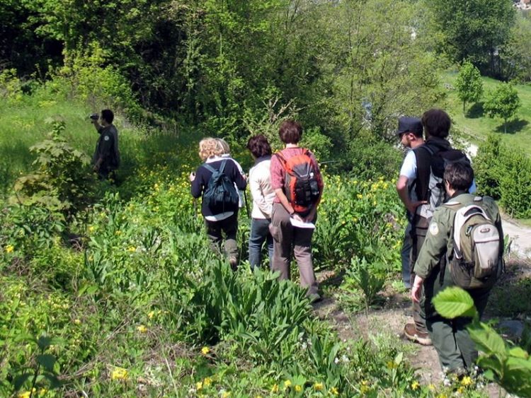 Un febbraio di camminate in collina