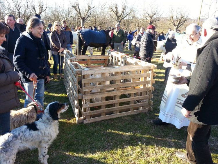 A Madonna di Celle si benedicono gli animali