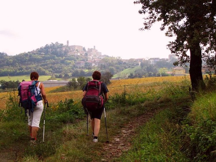 Le camminate di maggio in collina