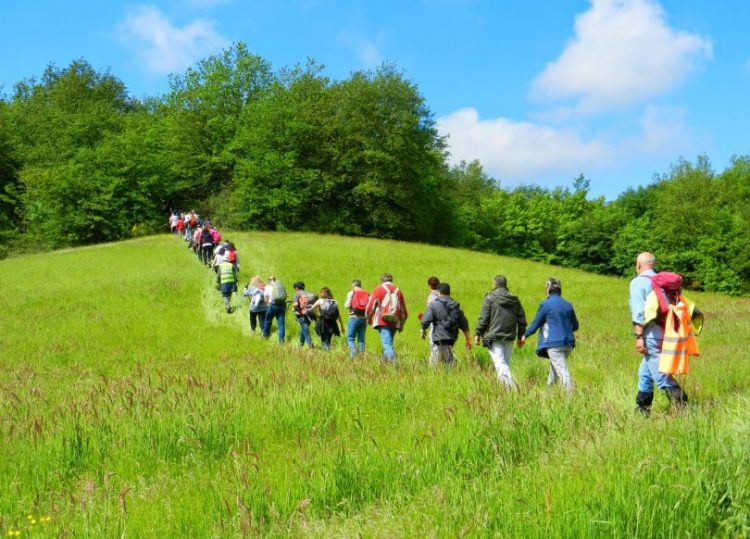 Ricco carnet di camminate in collina