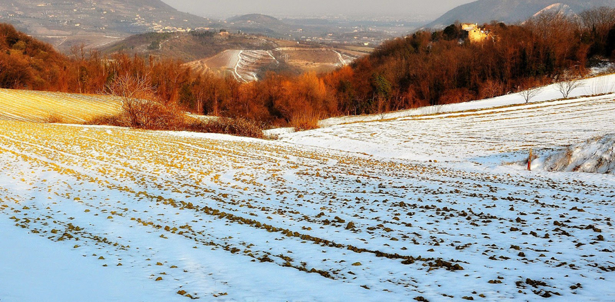 Camminate in collina per chi non teme gelo e neve