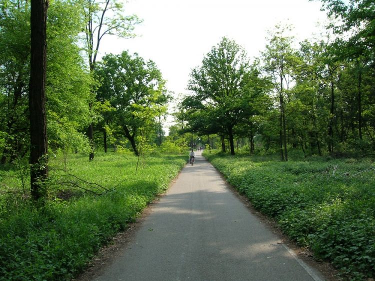 NICHELINO – Lavori sul parco Sangone lato Torino: creata passerella con il Boschetto