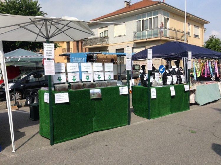 LA LOGGIA – Preparativi per la Fiera dello Zucchino di giugno