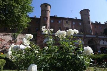 MONCALIERI – Il 3 giugno appuntamento con il premio della Rosa Principessa Maria Letizia