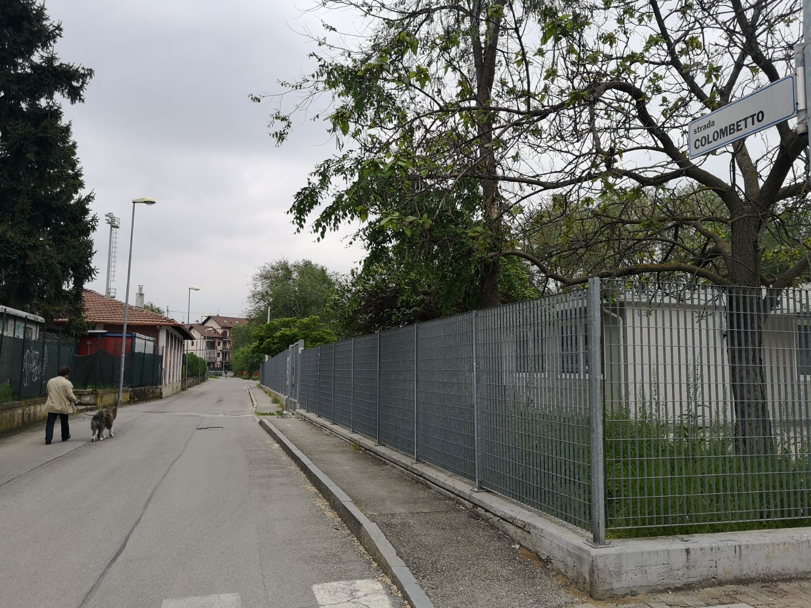 MONCALIERI – Ragazza aggredita da un branco di cani randagi