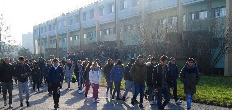 NICHELINO – Pecore per tagliare l’erba dei giardini scolastici