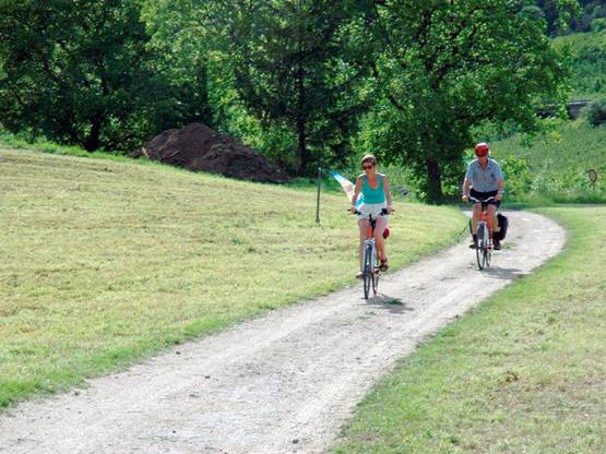 NICHELINO – Barriera di protezione accanto alla pista ciclo pedonale