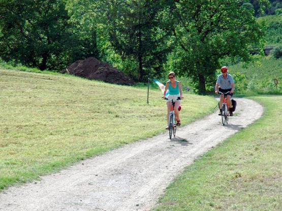 Un convegno a Chieri per discutere della mobilità sostenibile in zona sud