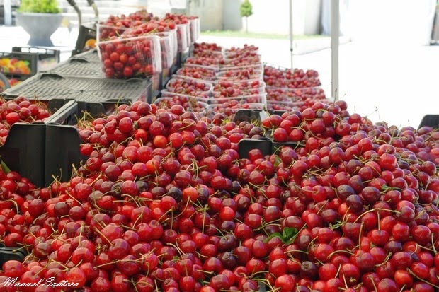 PECETTO – Si comincia a preparare la 109esima edizione della festa delle ciliegie