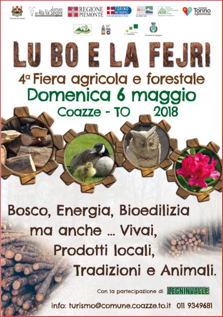 Legno, funghi e tanta natura a Coazze