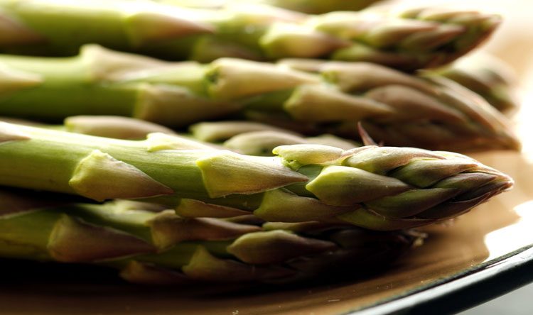 POIRINO – Cascina Robina con l’asparago tra i protagonisti del mercato della Terra di Slow Food a Torino