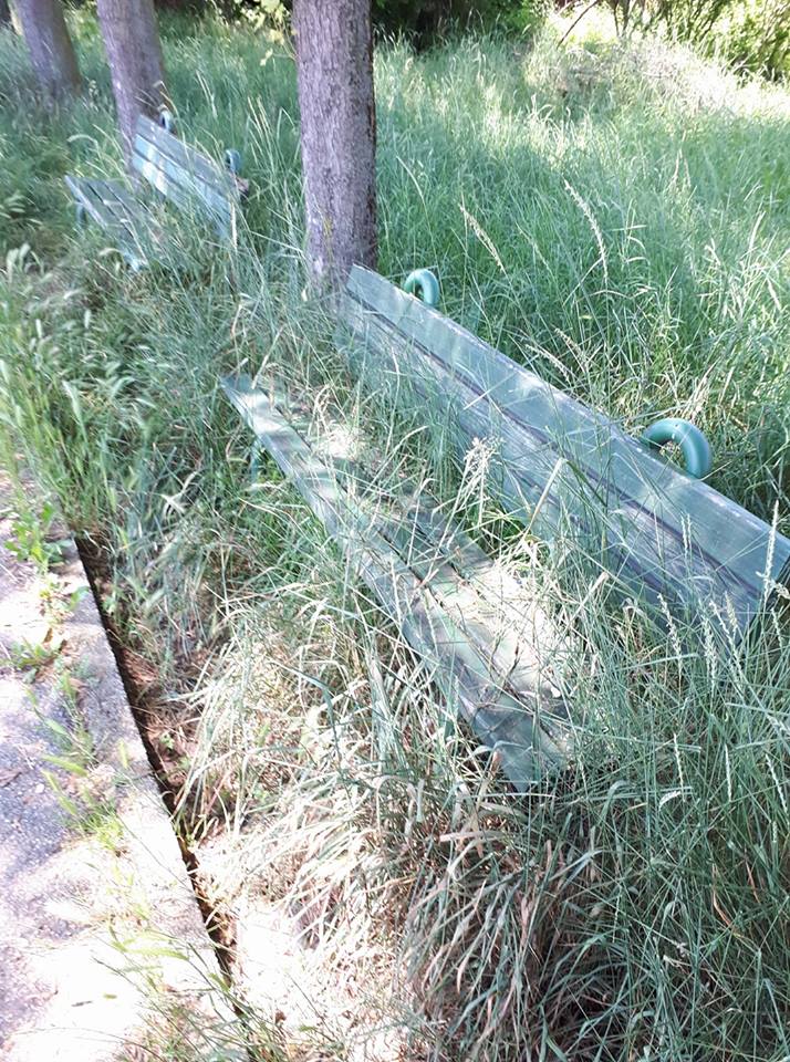 CINTURA – Troppe piogge e l’erba alta invade gli spazi pubblici
