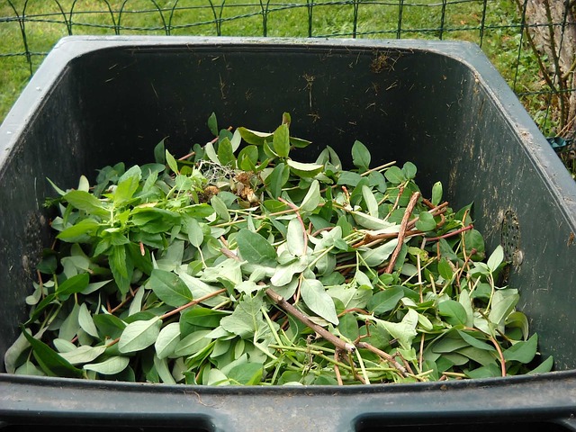 MONCALIERI – Rivoluzione nel servizio di raccolta dei rifiuti da giardino