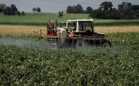 POIRINO – I rifiuti agricoli saranno raccolti nell’area di Cascina Rubina