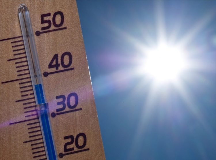 A Moncalieri l’Arpa registra 38,5 gradi di temperatura. L’allarme per il calore sale