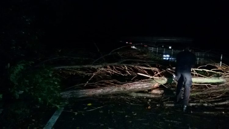 MALTEMPO – Decine di interventi dei vigili del fuoco nella notte