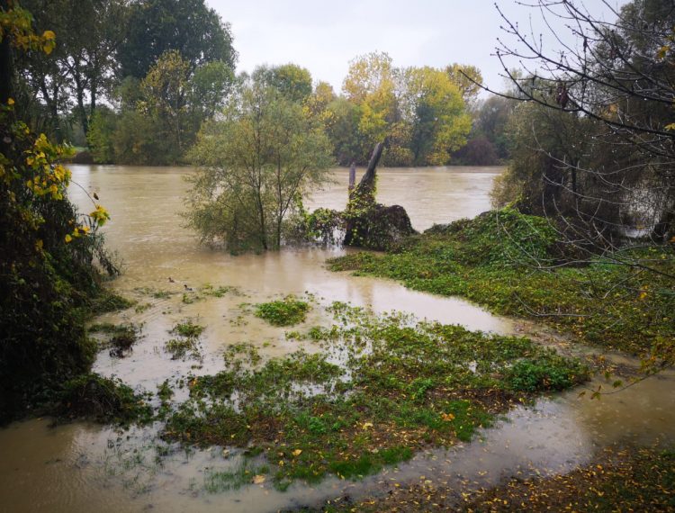 MONCALIERI – Finita l’allerta maltempo, si puliscono i detriti