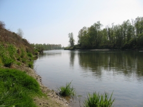 Nelle riserve di pesca scatta il divieto di catturare il Luccio