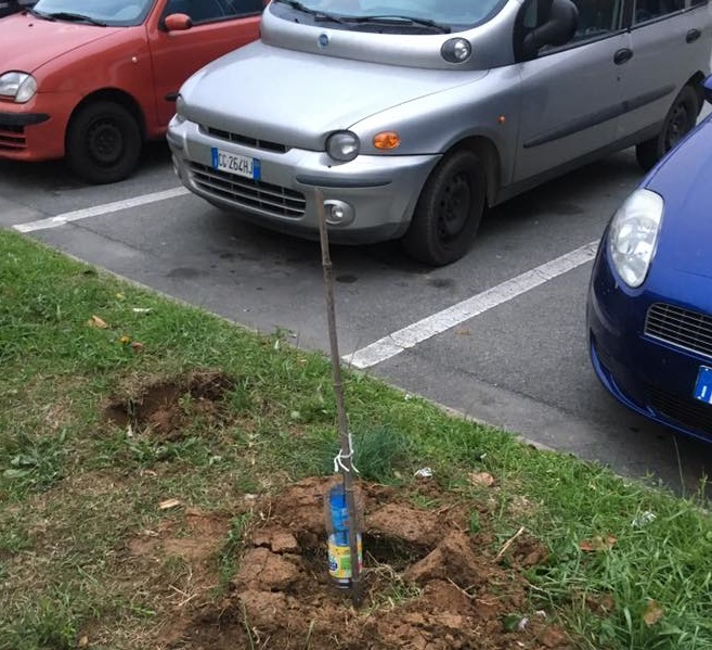 MONCALIERI – I “Badili Badola – Guerrilla Gardening”, colpiscono in città