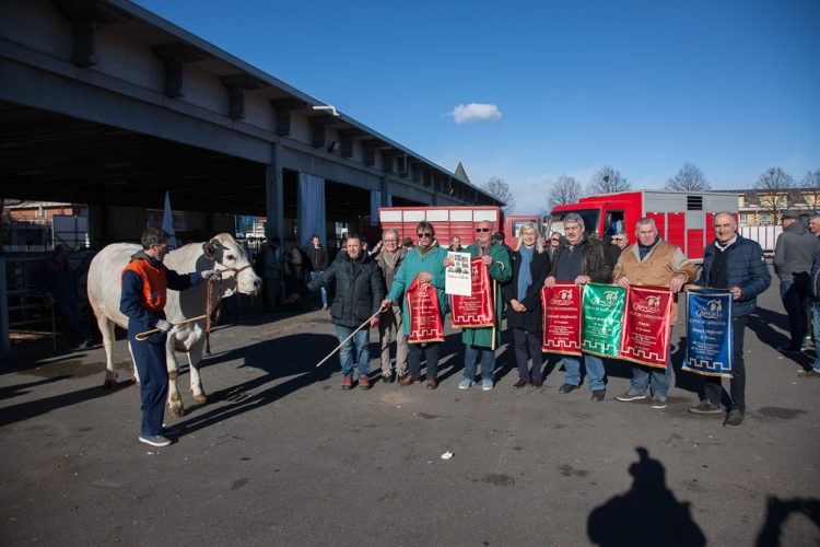 CARMAGNOLA – Successo di pubblico per la fiera bovina e del porro