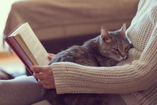 A La Loggia la biblioteca è tutta delle donne