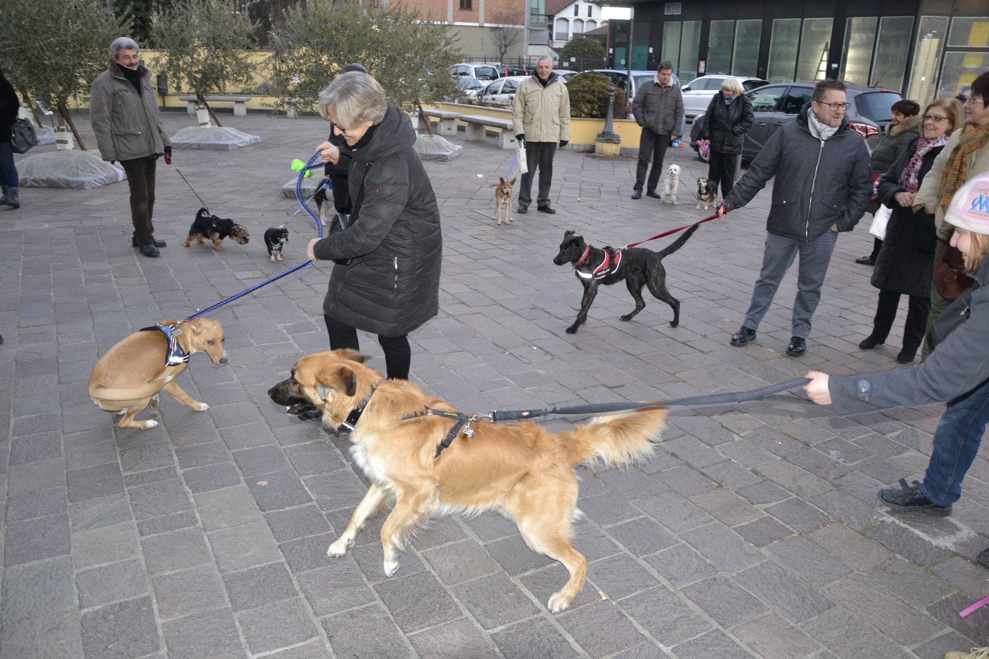 NICHELINO – La benedizione degli animali davanti la parrocchia