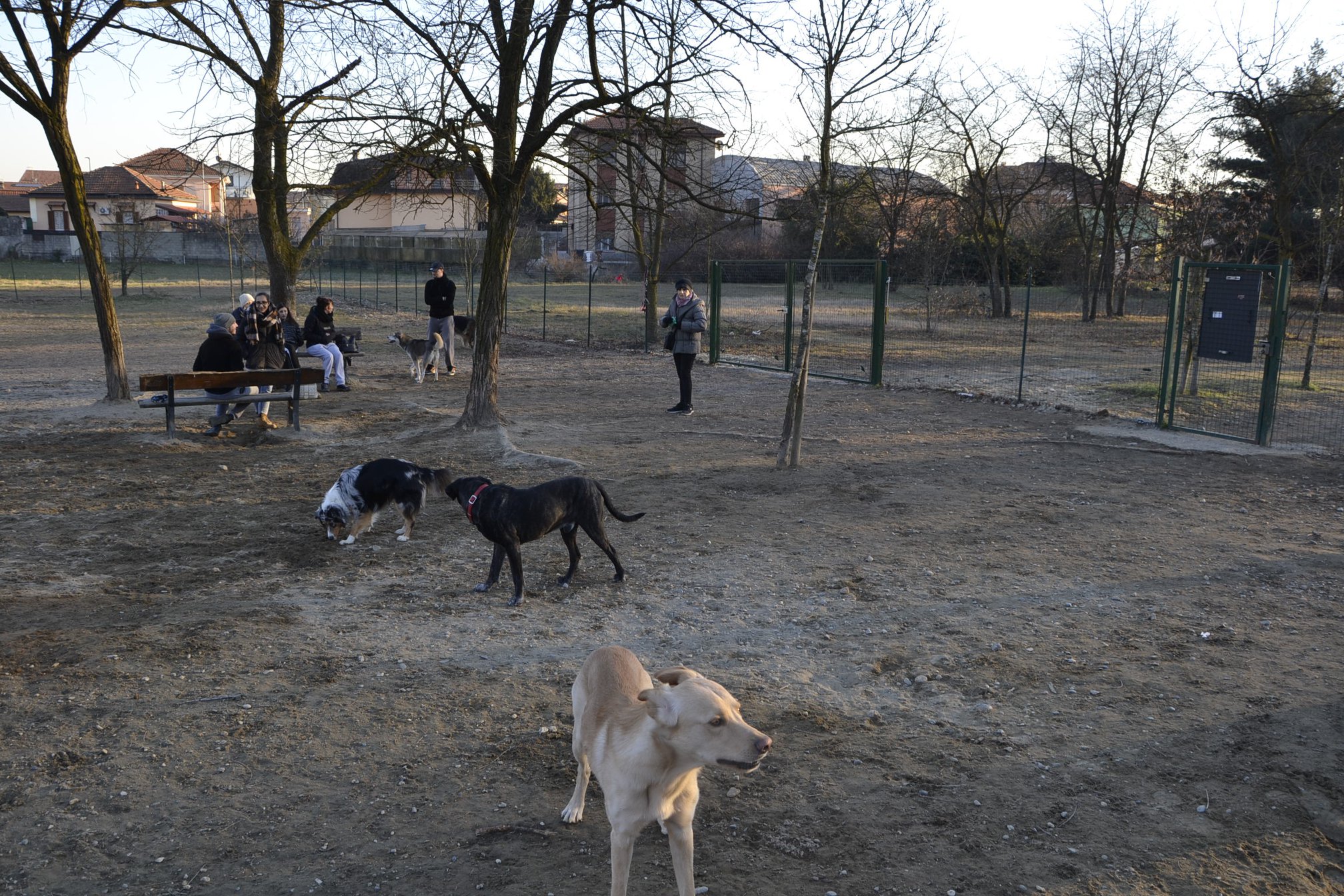 NICHELINO – Nuove aree cani in città