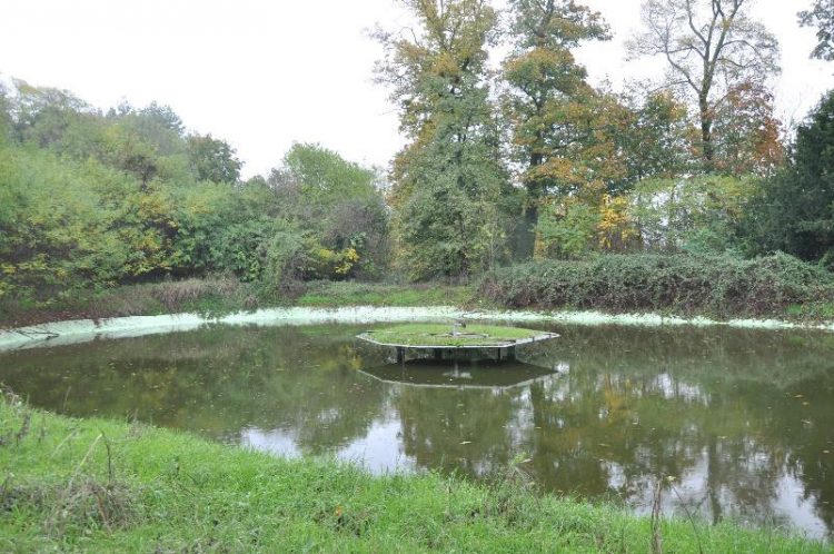 Si presentano i lavori nel parco del Castello