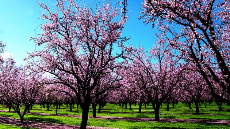 MONCALIERI – Il martedì dei ragazzi concentrato sulla primavera