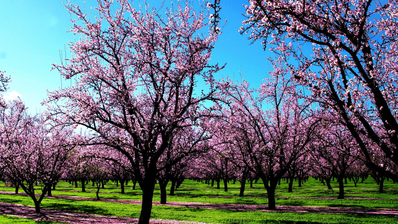 MONCALIERI – Il martedì dei ragazzi concentrato sulla primavera