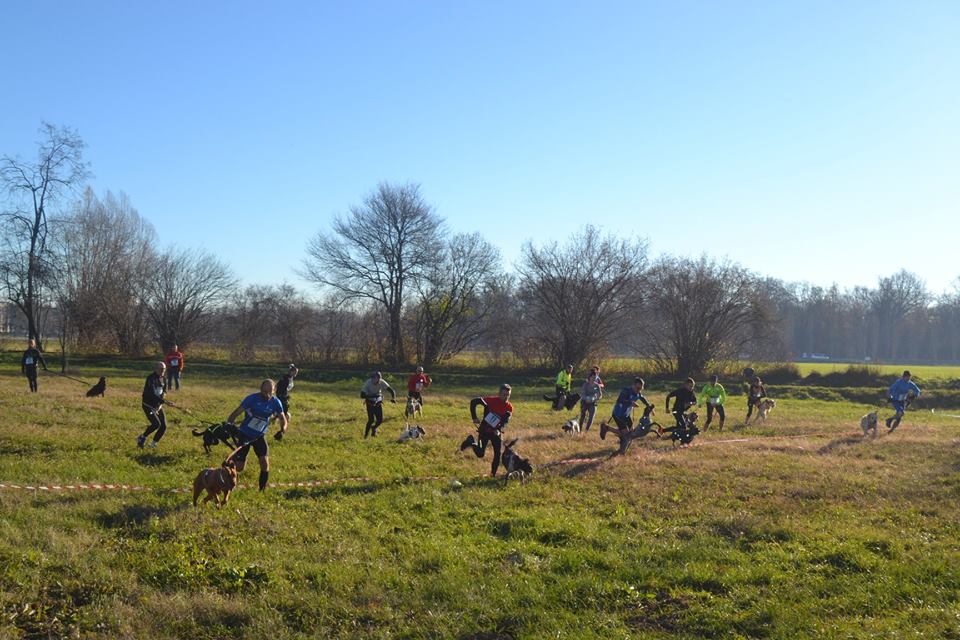 NICHELINO – La gara di cani cross si farà il 17 marzo