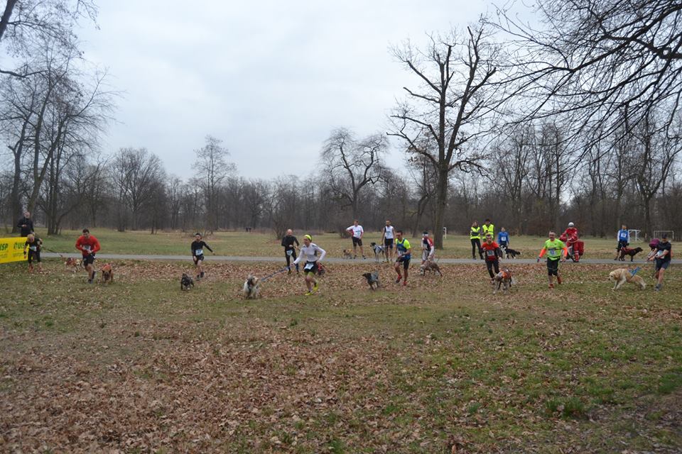 NICHELINO – Successo per la gara di canicross