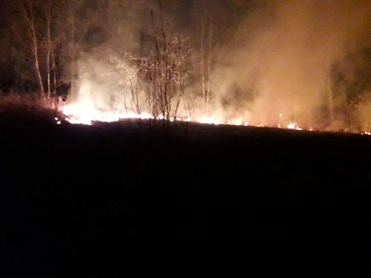 SICUREZZA – Nuova strategia regionale per la lotta agli incendi boschivi