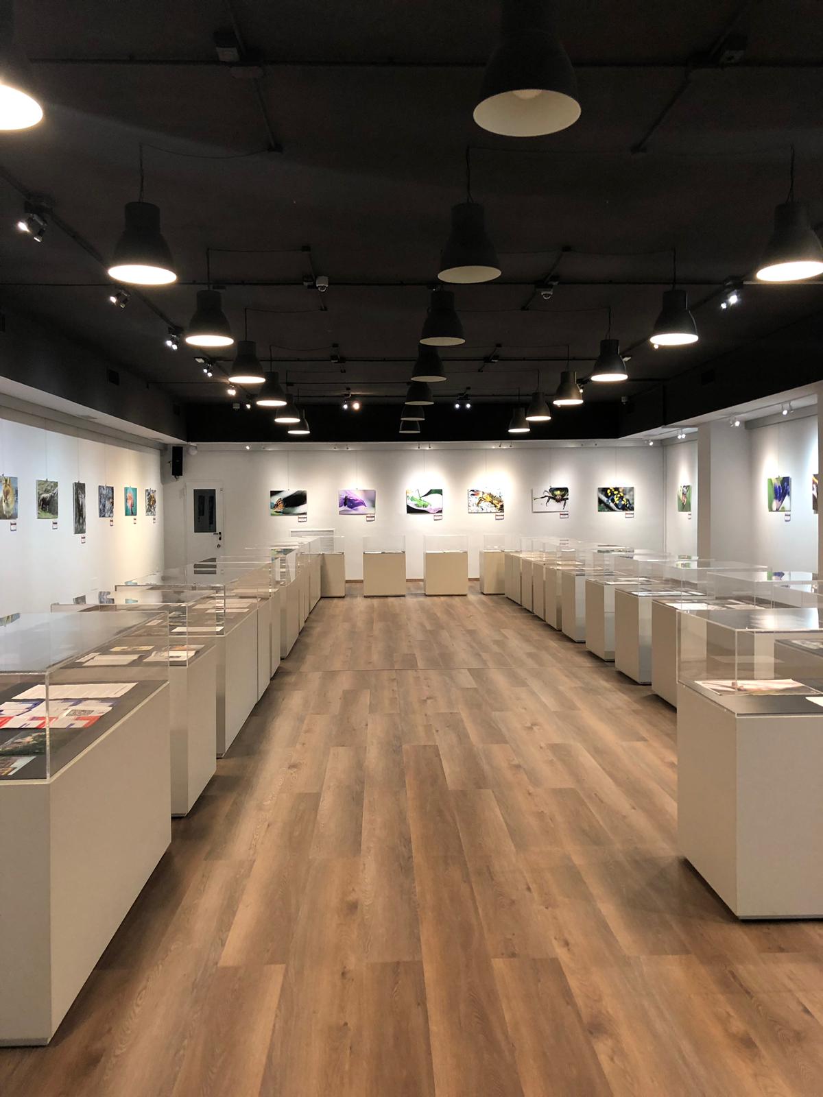 MONCALIERI – La mostra del Majorana alla biblioteca di Torino