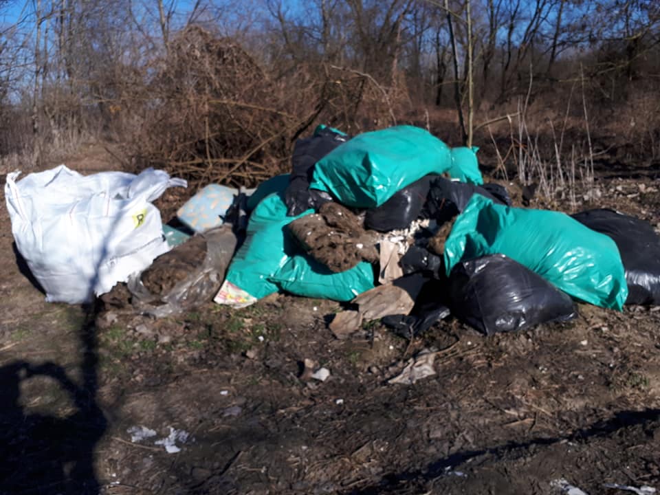 LA LOGGIA – Discarica abusiva lungo il Po