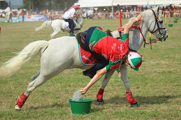 Equitazione: Cambiano e Trofarello in vista al Challenge Peter Dale