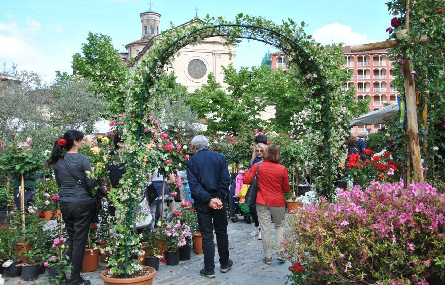 Domenica 19 maggio Giaveno è in fiore con la “Maggionatura”