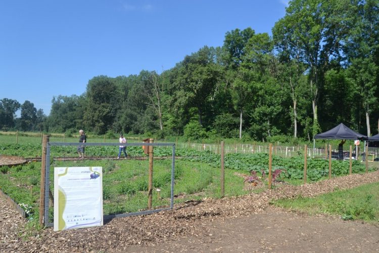 NICHELINO – Inauguratala “Fagianaia”, orto botanico vicino Stupinigi