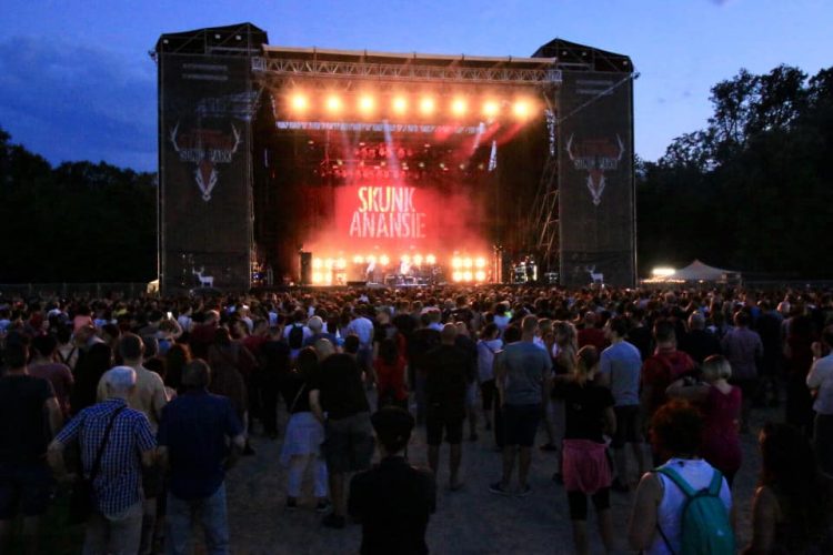 NICHELINO – Bagno di folla al concerto degli Skunk Anansie