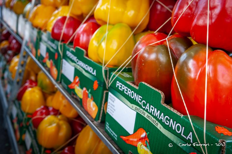 A Carmagnola ultimi preparativi in vista della Fiera Nazionale del Peperone numero 70