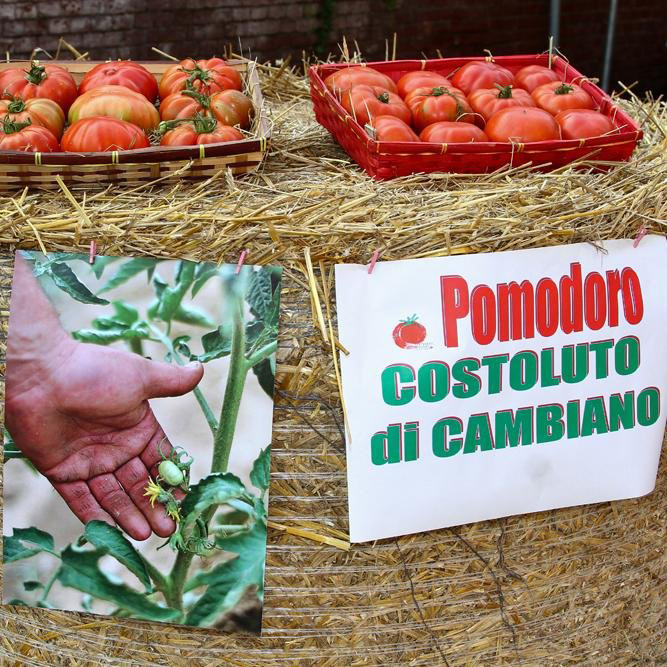 CAMBIANO – La certificazione dei prodotti agricoli raccontata in un incontro