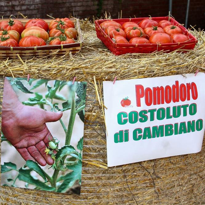 CAMBIANO – Sabato sera si balla in ‘compagnia’ del pomodoro