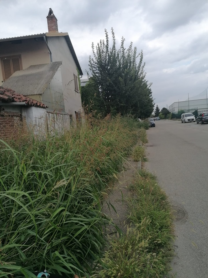 CARMAGNOLA – Erba alta a Salsasio, protestano i residenti
