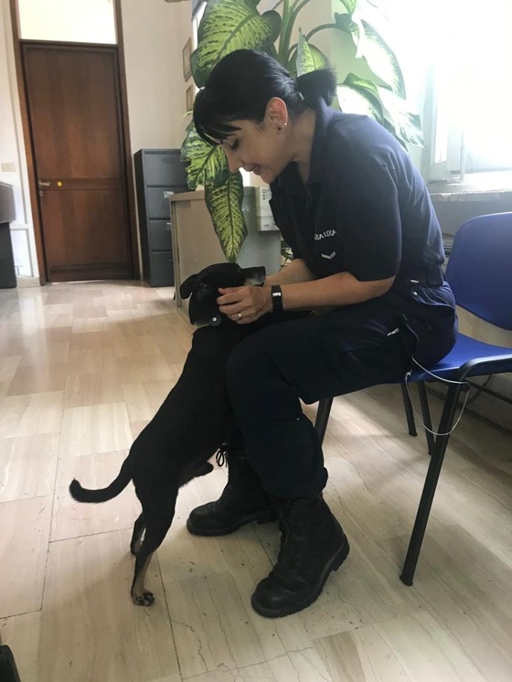 NICHELINO – Il maltempo manda Ko il cancello elettrico e il cane si avventura in città