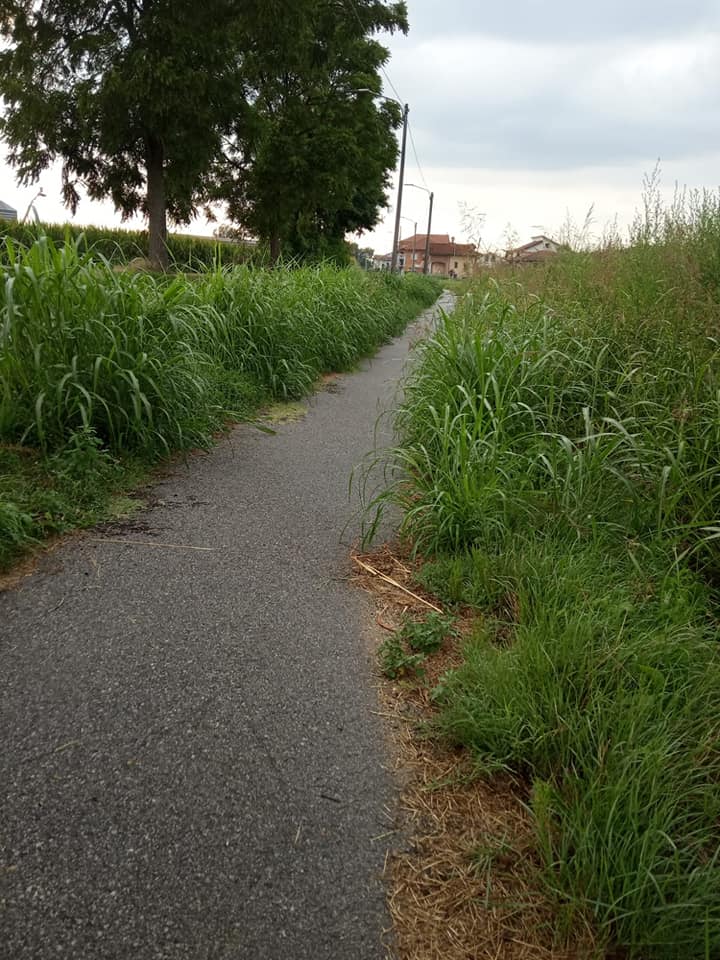 CARMAGNOLA – Anche la ciclabile San Michele invasa dall’erba alta