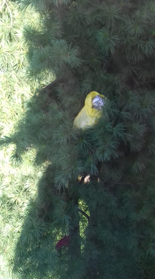 NICHELINO – Lanciano spazzatura dal balcone di casa