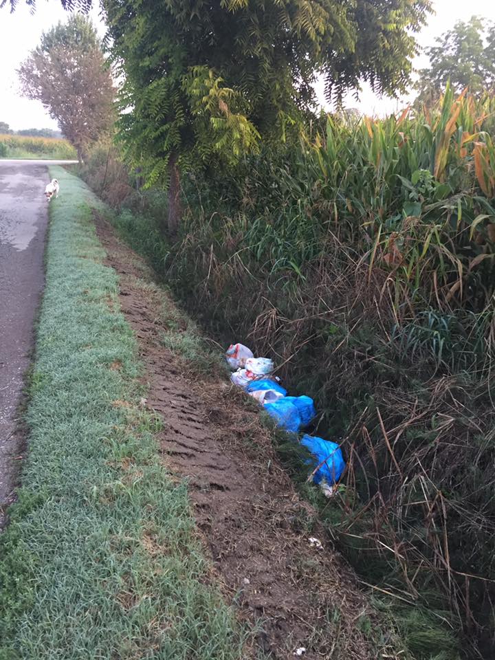 CARMAGNOLA – Discarica a cielo aperto a San Michele