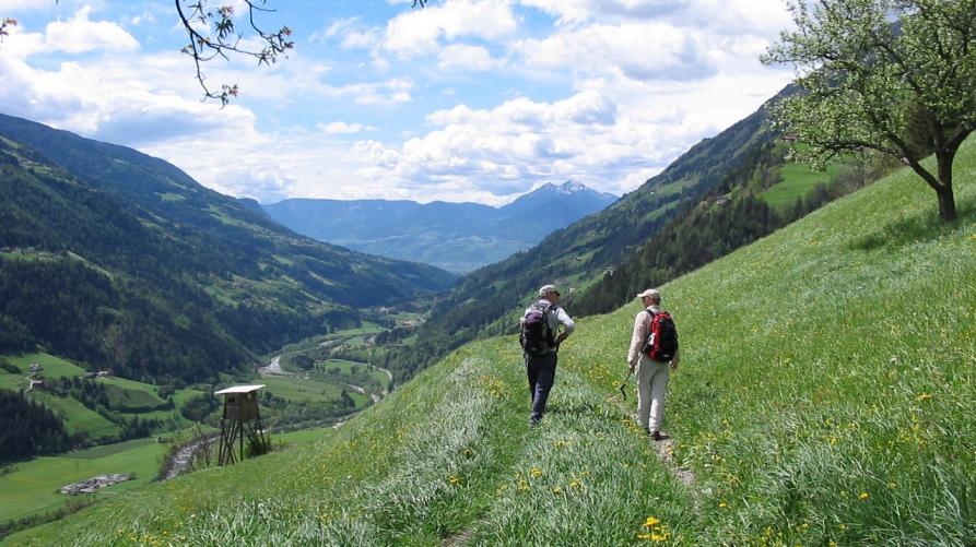 NATURA – Un concorso sulla Grande Traversata delle Alpi