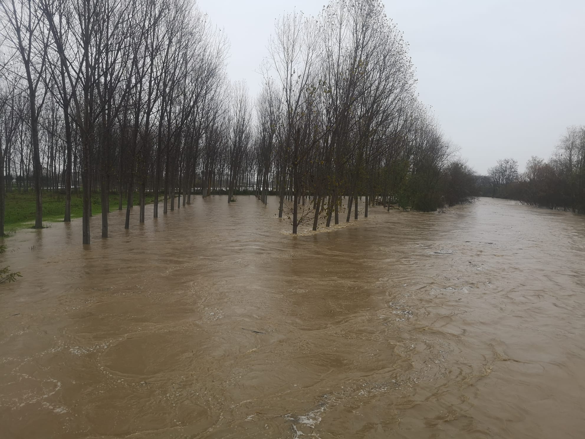 MONCALIERI – Coldiretti contro il nuovo argine sul Chisola: ‘Rischia di far chiudere due aziende’